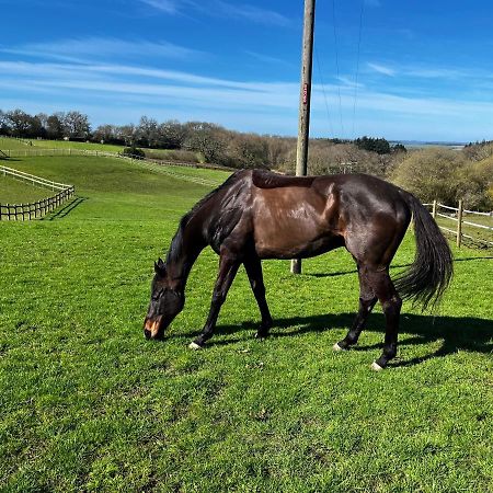 Byre - Farm Cottage On 9 Acre Equestrian Small Holding ساليزبري المظهر الخارجي الصورة